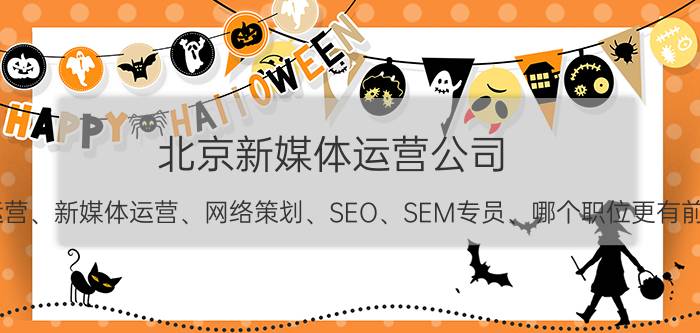 北京新媒体运营公司 网络运营、新媒体运营、网络策划、SEO、SEM专员、哪个职位更有前途？急？